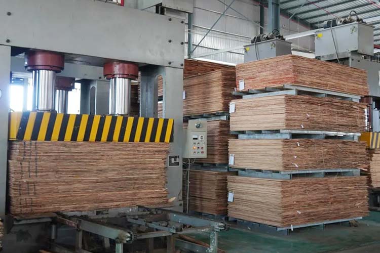 Film Faced Plywood - 